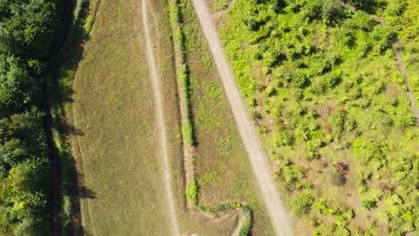 Aerial:-Bat-field-garden-at-Natterer's-Wood,-Suffolk---drone-tracking-shot