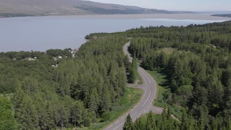 Scenic-route-through-green-birch-wood-forest-in-Iceland,-view-of-lake,-Hallormsstaður
