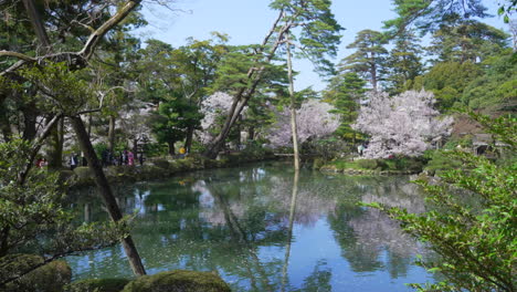 Reflejos-De-árboles-A-Través-Del-Estanque-Kasumiga-ike-En-El-Jardín-Kenroku-en-En-Kanazawa,-Ishikawa,-Japón