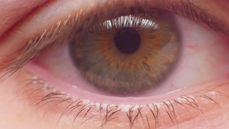 4K-macro-shot-of-an-eye-in-slow-motion,-looking-into-the-camera
