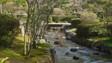 Shot-of-a-soft-flowing-stream-with-stone-bridge-in-the-background-at-Kenrokuen-Garden,-Kanazawa-during-spring-time