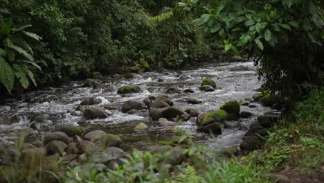 Beautiful-scenery-of-the-cascading-river-flowing-through-the-rainforest-along-with-rocks-and-trees