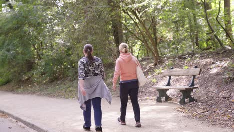 Rear-view-of-two-middle-aged-women-wearing-comfortable-clothes-walking-in-the-park-and-having-a-chat