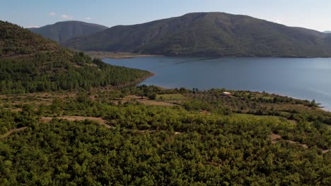 Village-on-shore-of-mountain-lake,-rural-landscape-with-old-houses-and-orchards-in-Albania