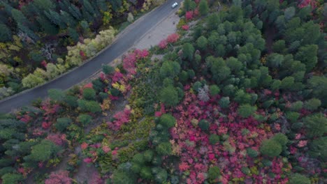 Colorful-Fall-Colors-by-Road-in-Utah-Mountain-Forest---Aerial