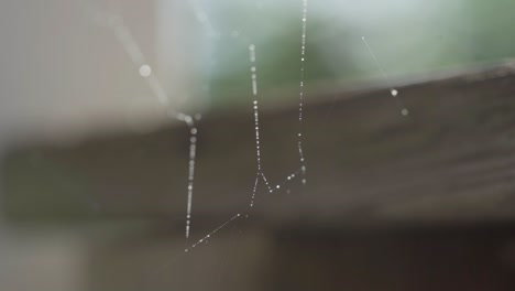 Macro-Shot-Of-Condensation-On-A-Cobweb,-Outdoors-Reflecting-From-Sunlight