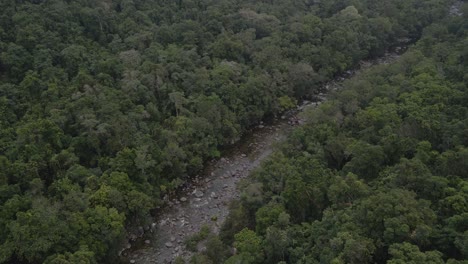 Empty-Riverbed-Between-Rainforest-In-Mossman-Gorge-In-Douglas-Shire,-Queensland,-Australia