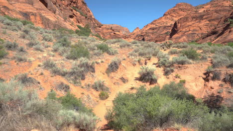 Female-Hiker-on-Dry-Path-in-Desert-Landscape-of-Utah