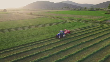Aerial-shot-of-farmer-driving-tractor-though-fields-at-sunset,-4K