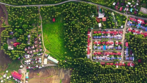 Malerischer-Blick-Auf-Farbige-Dächer-Auf-Dem-Land-Ländliche-Wohnsiedlung-Zwischen-Dicht-Wachsenden-Bäumen-In-Saint-Bernard,-South-Leyte,-Philippinen
