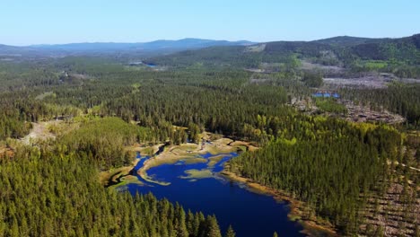 Rural-Landscape-With-Lush-Green-Trees-And-Tranquil-Lake,-Appelbo,-Dalarna,-Sweden---aerial-shot