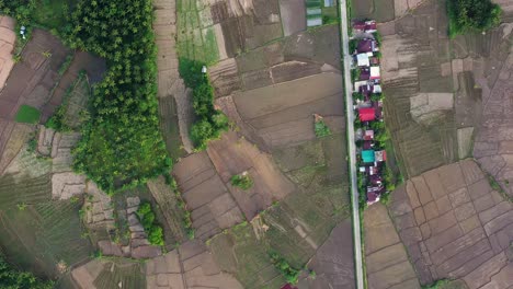 Vertical-De-Tierras-Cultivadas-En-El-Pueblo-Rural-De-San-Bernardo,-Sur-De-Leyte-En-Filipinas