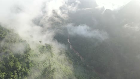 drone-shot-pan-up-reveal-the-misty-mountain-jungle