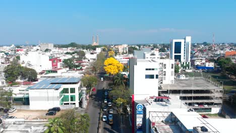 Villahermosa-Tabasco-Mexiko-Drohnenschuss-Promenade-Tabasco-Kathedrale-Guayacan-Blumen-Baum