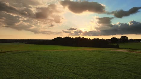 Ruhiges-Grünes-Feld-Mit-Bewölktem-Himmel-Bei-Sonnenuntergang-In-Der-Nähe-Von-Hjo,-Schweden---Luftdrohnenaufnahme