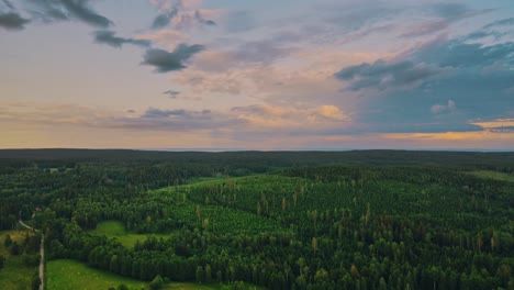 Aerial-View-Of-Forested-Landscape-And-Dramatic-Sky-Near-Hjo,-Sweden---drone-shot