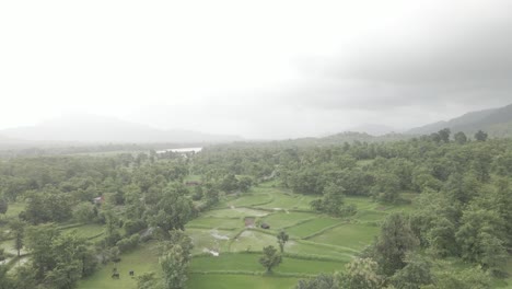 Drohne-Grüne-Berge-Und-Fam-Reisfeld-Im-Regen-Im-Manor-Maharashtra-India