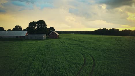 Countryside-Farm-Fields-Near-Hjo,-Sweden-At-Sunset---aerial-shot