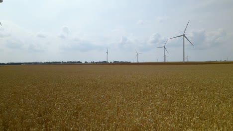 Low-aerial-of-wind-turbines-across-a-yellow-wheat-field-Zwartowo-Pomerania,-Poland