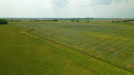 Greenery-Fields-For-Construction-Of-Largest-Photovoltaic-Farm-Near-Zwartowo-Village,-Poland-In-Central-Europe