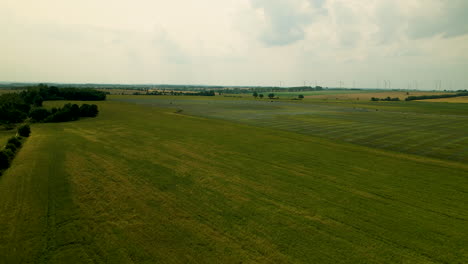 Aerial-Green-meadows-fields-for-a-solar-farm-biggest-in-Central-Europe-Zwartowo-Pomerania,-Poland
