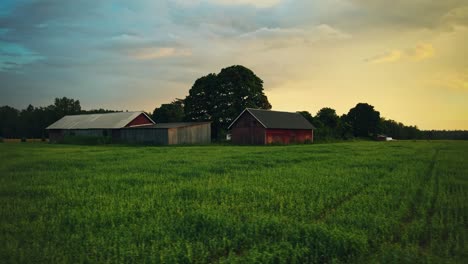 Rustic-Farmhouses-On-Lush-Meadows-At-Summer-Sunset-On-Countryside-Of-Hjo-In-Sweden