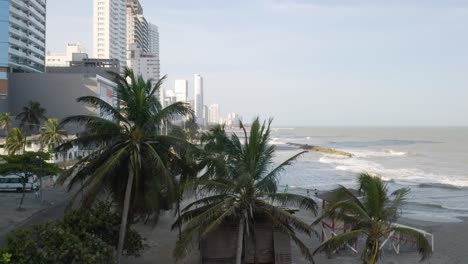Fixed-Aerial-Shot-of-Palm-Trees-Along-Cartagena-Coastline
