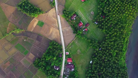 Bird's-Eye-View-Of-Agricultural-Fields-And-Lush-Vegetation-In-Saint-Bernard,-Southern-Leyte,-Philippines---drone-shot