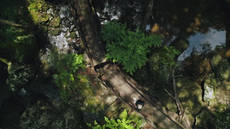 Top-down-aerial-moving-down-as-man-passes-over-stream-on-bridge-on-forest-hike,-4K