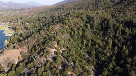 Majestic-mountainside-covered-in-dense-forest-near-lake-Hemet,-aerial-view