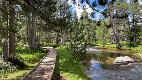 Aigüestortes-National-Park-Spain-protected-nature-Lérida-catalunya-Wooden-walkway-between-natural-pine-trees-next-to-a-river-with-crystal-clear-water-gimbal-rio-sant-nicolau