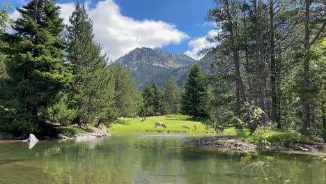Aigüestortes-Nationalpark-Spanien-Geschützte-Natur-Lerida-Catalunya-Berglandschaft-Mit-Kristallklarem-Wasser-Fluss-Natur-Familienausflug-Tourismus
