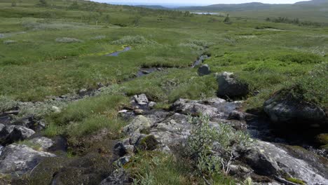 Dolly-out-shot-of-arctic-landscape,-water-stream-flowing-down-from-a-small-creek-on-mountain-pasture-during-summer-Jamtland,-Sweden