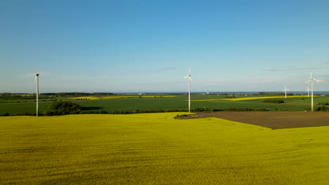 Windpark-Auf-Einem-Gelben-Feld