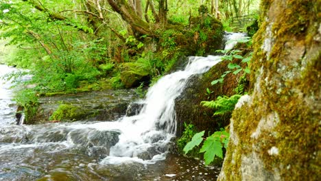 Schöne-Frische-Fließende-Klare-Wasserfallkaskaden-In-Friedlicher-Grüner-Waldlaubumgebung