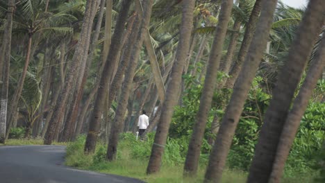 Indian-man-walking-along-the-canopy-of-trees-during-gloomy-day---Wide-Angle-Shot