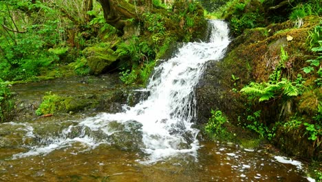Schöne,-Frisch-Fließende,-Klare-Bachwasserfälle-Kaskaden-In-Einer-Friedlichen-Grünen-Waldlaubumgebung