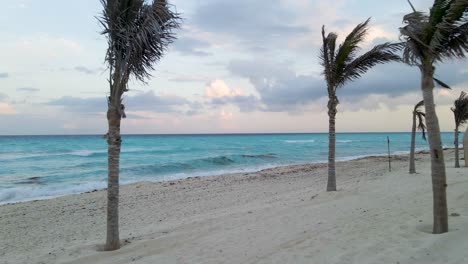 Luftaufnahmen-Des-Wunderschönen-Strandes-In-Der-Nähe-Des-Karibischen-Meeres-Durch-Palmenblätter---Drohnenaufnahme