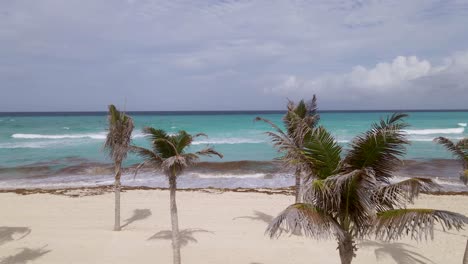 Palmen-Am-Tropischen-Strand-Von-Cancun-Und-Meereswellen,-Die-An-Der-Küste-Brechen