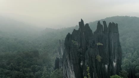 Hervorragende-Felsformation-Vor-Mystischem-Mangrovenwald-In-Kerala,-Indien-An-Bewölkten-Tagen,-Luftbild