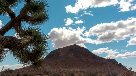 Nubes-Esponjosas-Sobre-Una-Montaña-En-El-Desierto-De-Mojave-Sombrean-El-Paisaje---Lapso-De-Tiempo-Panorámico-Con-El-árbol-De-Joshua-En-Primer-Plano