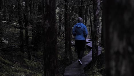 Female-in-blue-jacket-walking-along-timber-board-walk-amongst-moody-trees-in-dense,-wet-rain-forest-on-overcast-day-into-distance