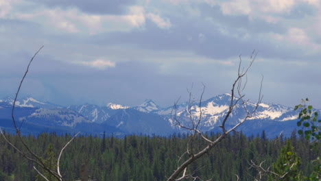 Montaña-Rocosa-En-La-Nieve-Con-Follaje-De-Pino-En-Primer-Plano-En-Idaho