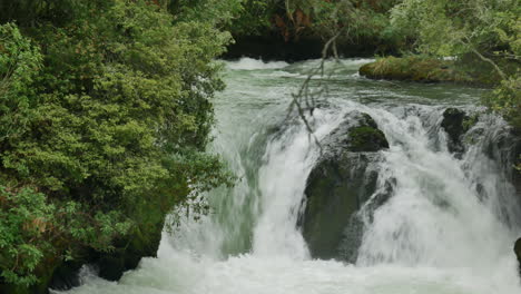 Wide-shot-of-fresh-Tutea-falls-flowing-into-Kaituna-River-surrounded-by-green-idyllic-landscape,-New-Zealand