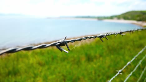Barbed-wire-boundary-overlooking-calm-cliff-coast-countryside-waterfront-hiking-landscape-ends-on-wooden-post