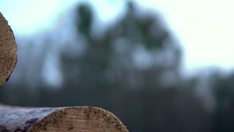 Stack-of-wooden-logs-in-the-forest---close-up-on-blurred-background