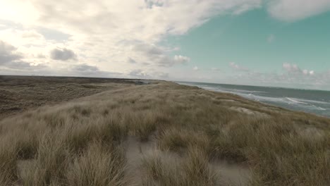 Sandy-Beach-With-Dry-Grass-In-Texel
