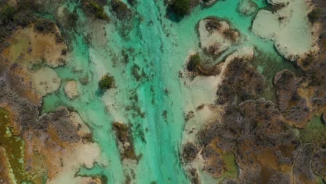 Person-relaxing-in-tropical-blue-lagoon,-4K-aerial-top-down