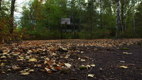 Urban-overgrown-outside-basketball-court-in-Pripyat,-zoom-out-view