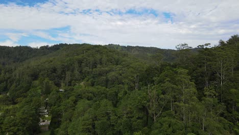 Lush-Green-Forest-And-Mountain-Views-At-Currumbin-Valley-In-Gold-Coast,-QLD,-Australia